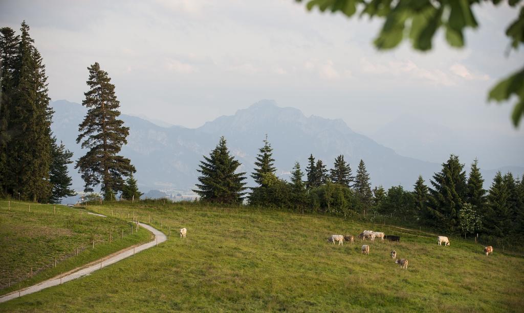 Panoramagasthof Auf Dem Auerberg Bernbeuren Екстер'єр фото