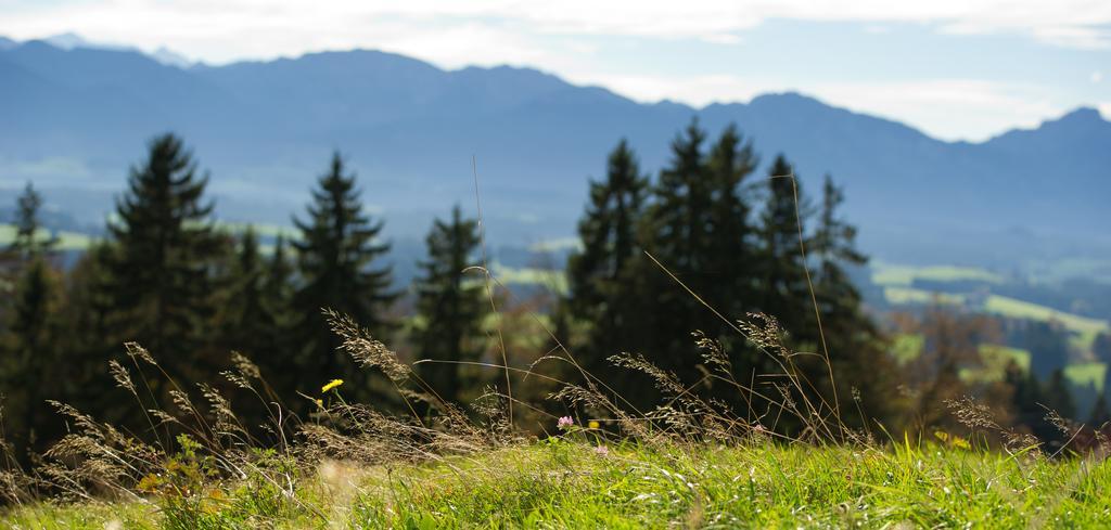 Panoramagasthof Auf Dem Auerberg Bernbeuren Екстер'єр фото
